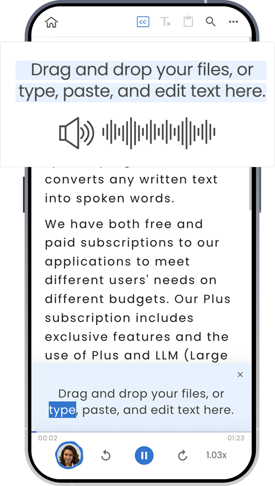 Immersive reader preview